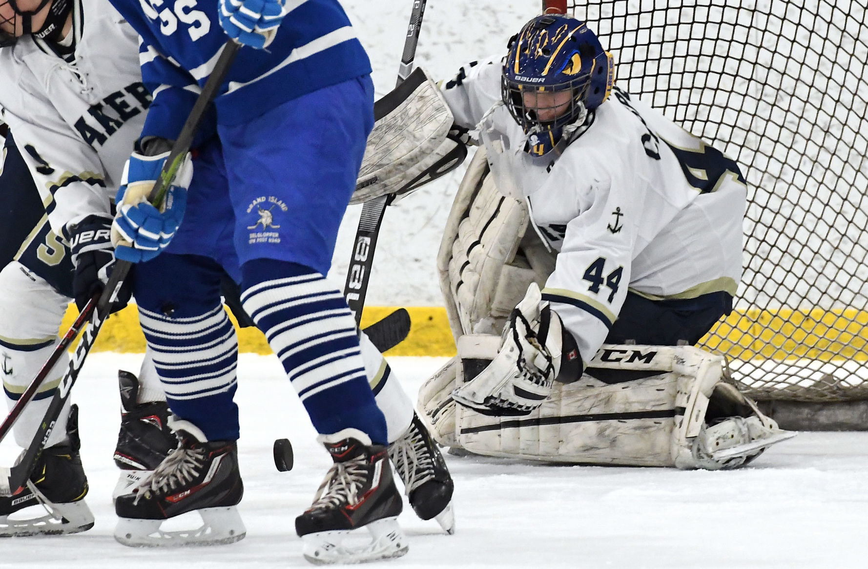 Skaneateles Grand Island 10.JPG